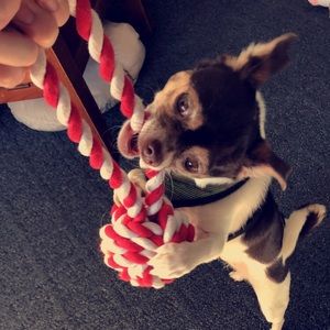 Meet your Posher, Mia